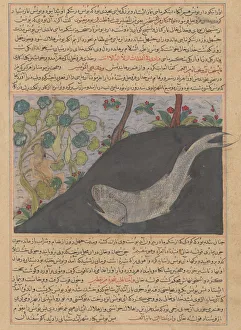 Jonah and the Whale, Folio from a Majma' al-Tavarikh (Compendium of Histories)..., ca Jonah and the Whale, Folio from a Majma' al-Tavarikh (Compendium of Histories)..., ca