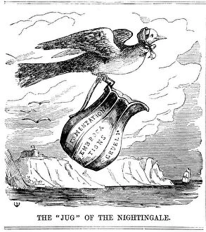 Images Dated 8th August 2005: The Jug of the Nightingale, 1854