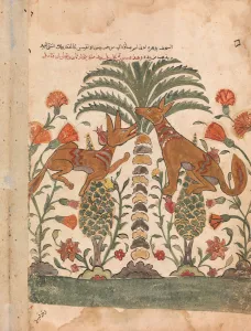 Kalila Upbraiding Dimna, Folio from a Kalila wa Dimna, 18th century. Creator: Unknown Kalila Upbraiding Dimna, Folio from a Kalila wa Dimna, 18th century. Creator: Unknown