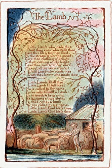 Verse Gallery: The Lamb, illustration from Songs of Innocence and of Experience. c1770-1820. Artist: William Blake