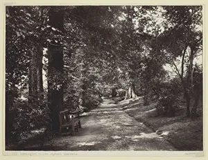Leamington, in the Jephson Gardens, 1860/94. Creator: Francis Bedford Leamington, in the Jephson Gardens, 1860/94. Creator: Francis Bedford