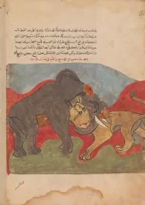 The Lion and the Elephant Fighting, Folio from a Kalila wa Dimna, 18th century The Lion and the Elephant Fighting, Folio from a Kalila wa Dimna, 18th century