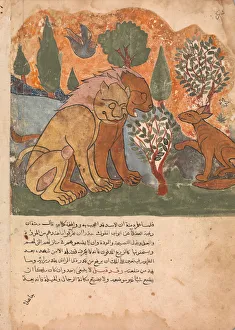The Lion king, With his Mother, Receives Dimna, Folio from a Kalila wa Dimna The Lion king, With his Mother, Receives Dimna, Folio from a Kalila wa Dimna