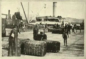 Cash Crop Gallery: Loading a Cargo of Cotton, c1948. Creator: Unknown