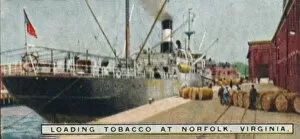 Loading Tobacco at Norfolk, Virginia. 1926