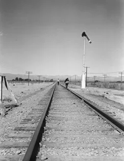 Bindle Stiff Gallery: Looking east down the railroad track, near Calipatria, California, 1939. Creator: Dorothea Lange