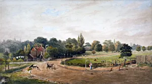 Lordship Lane, Camberwell, London, c1860. Artist: JC Mandy Lordship Lane, Camberwell, London, c1860. Artist: JC Mandy