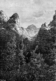 Madeira, Portugal Print, 1895
