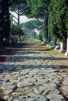 Main Street Gallery: The main street leading into Ostia