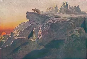 Wilderness Gallery: Beyond Mans Footsteps, 1894 (1909). Artist: Briton Riviere