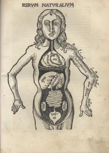 Margarita Philosophica. Anatomy, 1504. Artist: Reisch, Gregor (1467-1525) Margarita Philosophica. Anatomy, 1504. Artist: Reisch, Gregor (1467-1525)