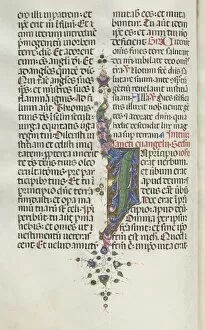Bartolommeo Caporali Italian Gallery: Missale: Fol. 22v: Foliage with Fish, 1469. Creator: Bartolommeo Caporali (Italian, c
