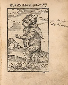 Monk Calf of Freiberg (Das Monchskalb zu Freiberg), 1523 Monk Calf of Freiberg (Das Monchskalb zu Freiberg), 1523