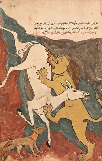 The Monkey Tells the Story of the Fox Luring the Ass to its Death by the Lion The Monkey Tells the Story of the Fox Luring the Ass to its Death by the Lion