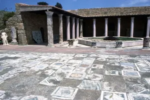 Mosaic at the Roman Villas, Carthage, Tunisia, c2nd-3rd century Mosaic at the Roman Villas, Carthage, Tunisia, c2nd-3rd century