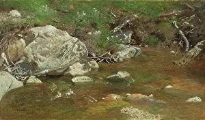 Heritage Art In America Prints: Mountain Brook: A Study, between c1863 and 1869. Creator: Alexander Helwig Wyant