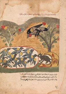 The Mouse Gnaws the Net Imprisoning the Doves, Folio from a Kalila wa Dimna, 18th century The Mouse Gnaws the Net Imprisoning the Doves, Folio from a Kalila wa Dimna, 18th century
