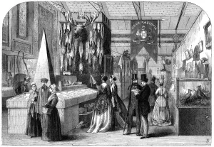 The Nova Scotia section of the Paris International Exhibition, 1867 The Nova Scotia section of the Paris International Exhibition, 1867