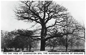 The oak at Leamington Spa, the supposed centre of England, 1936 The oak at Leamington Spa, the supposed centre of England, 1936