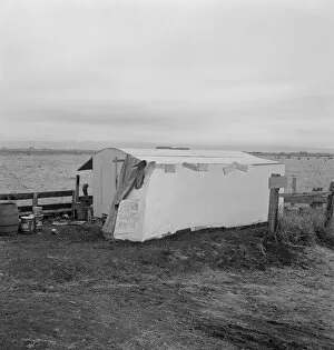 Outside of potato pickers camp, across from the... Tulelake, Siskiyou County, California, 1939. Creator: Dorothea Lange