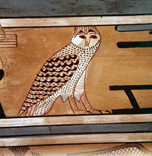 Owl, Hieroglyphic inscription on inner wall of coffin of steward, Seni, El Bersha, Egypt Owl, Hieroglyphic inscription on inner wall of coffin of steward, Seni, El Bersha, Egypt