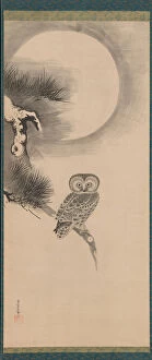Branches Gallery: Owl on a Pine Branch, early 17th century. Creator: Soga Nichokuan