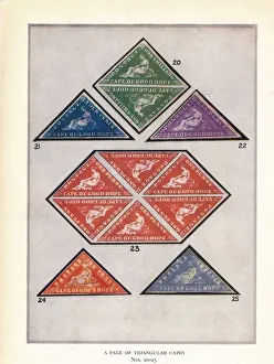 超希少 ケープオブグッドホープ 切手 1853-61年 トライアングル 1d ケープオブグッドホープ 切手 1853-61年 切手 トライアングル 1d