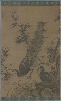 A Pair of Peafowl, late 1400s-early 1500s. Creator: Lin Liang (Chinese, 1416-1480) A Pair of Peafowl, late 1400s-early 1500s. Creator: Lin Liang (Chinese, 1416-1480)