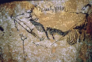 Cave Painting Prints: Lascaux Cave Painting Print of Bison and Human Figure