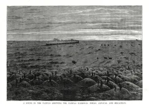 The Pampas railroad, South American lowlands, 1877 The Pampas railroad, South American lowlands, 1877