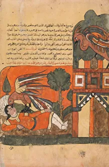 The Parent Bird Blinds the Prince in Revenge for the Death of her Young One The Parent Bird Blinds the Prince in Revenge for the Death of her Young One