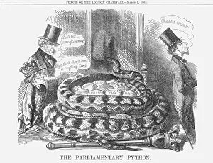 Related Images Gallery: The Parliamentary Python, 1862