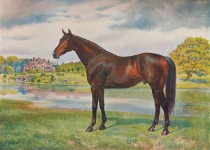 British Thoroughbred Horses Prints: Persimmon, c1905 (c1910)