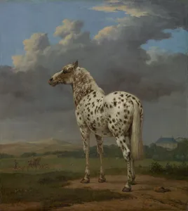 Piebald Horse, ca 1654. Artist: Potter, Paulus (1625-1654) Piebald Horse, ca 1654. Artist: Potter, Paulus (1625-1654)