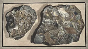 Piece of marble composed of fragments of various sorts of marble found in the Fossa Piece of marble composed of fragments of various sorts of marble found in the Fossa