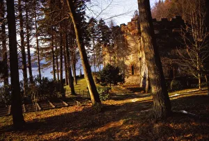 Allerdale Gallery: Plantation and Filter station on East bank of Thirlmere. Cumberland, 20th century. Artist: CM Dixon