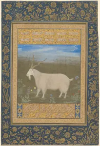 Ladakhi Mountain Goat Print, circa 1600