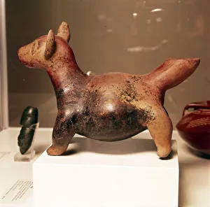 Pottery vessel of Ancient breed of Mexican dog, Colima Culture, Mexico, 300-900 Pottery vessel of Ancient breed of Mexican dog, Colima Culture, Mexico, 300-900