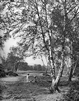 Putney Heath, London, 1926-1927. Artist: McLeish Putney Heath, London, 1926-1927. Artist: McLeish