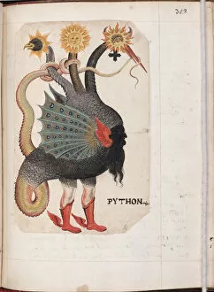 Alchemist Gallery: Python (from: Alchemical and Rosicrucian Compendium), ca 1760. Artist: German master
