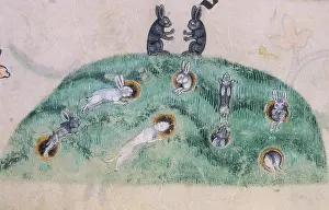 Illuminated Manuscript Miniatures Prints: A rabbit warren, c1300-c1340. Creator: Unknown