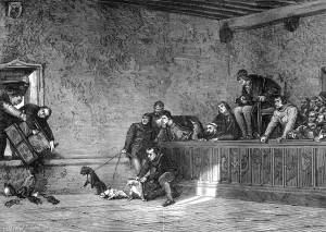 Rat fighting, recreation of Louis XI of France, 1461-1483 (1882-1884) Rat fighting, recreation of Louis XI of France, 1461-1483 (1882-1884)