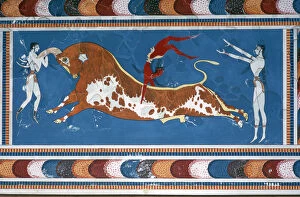 Reconstruction of the Bull-leaping fresco from the Minoan Royal palace at Knossos