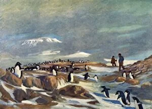 South Pole Gallery: Return of the Penguins, c1908, (1909). Artist: George Marston
