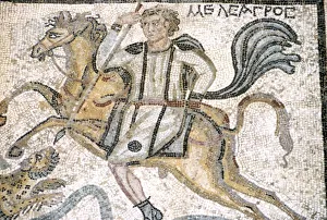 Roman mosaic from Carthage, Horseman hunts leopard, c3rd century Roman mosaic from Carthage, Horseman hunts leopard, c3rd century
