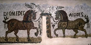 Roman Mosaic of Horses, Diomeder and Aicides, 2nd-3rd century Roman Mosaic of Horses, Diomeder and Aicides, 2nd-3rd century