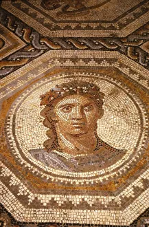 Roman Mosaic of the Season Summer at Museum of Pagan Art, Arles, France, c1st-2nd century Roman Mosaic of the Season Summer at Museum of Pagan Art, Arles, France, c1st-2nd century