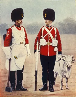 The Royal Welsh Fusiliers, 1901. Creator: Gregory & Co The Royal Welsh Fusiliers, 1901. Creator: Gregory & Co