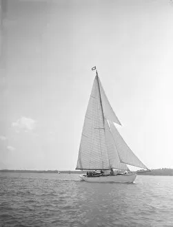 Lee Bow Gallery: Sailing yacht Blue Peter, 1934. Creator: Kirk & Sons of Cowes