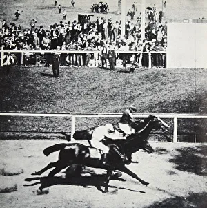 Salvator beats Tenny by a throat latch, Sheepshead Bay Race Track, New York, USA, 1890 Salvator beats Tenny by a throat latch, Sheepshead Bay Race Track, New York, USA, 1890